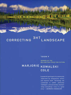 Correcting the Landscape - ebook
